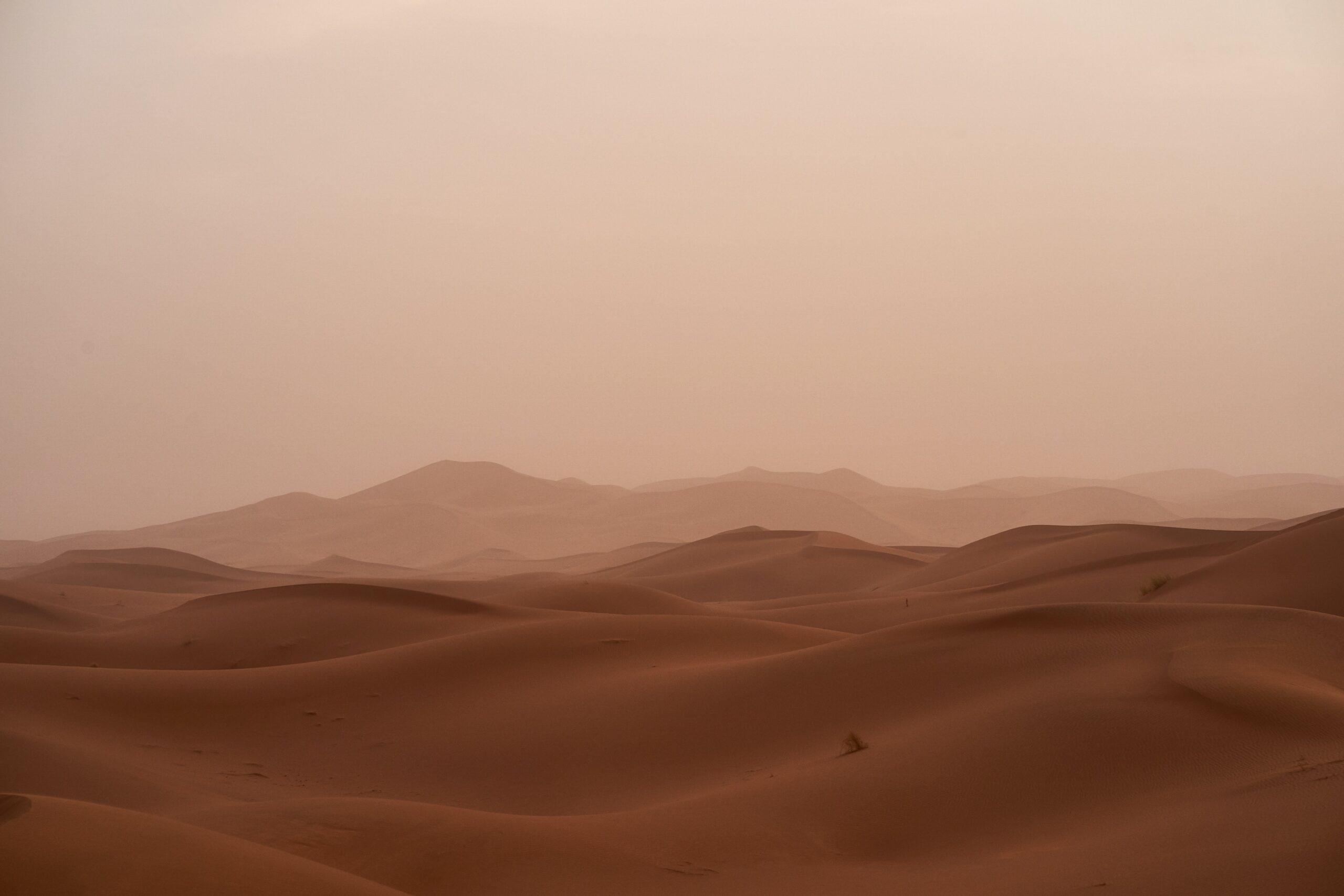 Sahara desert wind